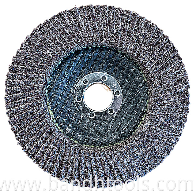 Flap Disc